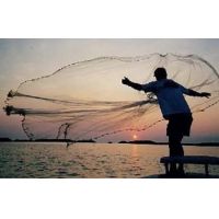  Betts 10PM Old Salt Mono Cast Net, 10', 3/8 Mesh, 1 lb Per  Foot yellow : Fishing Nets : Sports & Outdoors