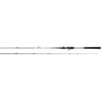 Jigging World Onyx Surf Spinning Rods
