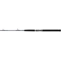 Daiwa Rods for Saltwater Fishing - TackleDirect