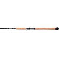 The Best Inshore Saltwater Fishing Rod Ever???, 50% OFF