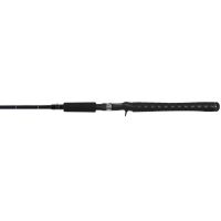 Daiwa Freshwater Spinning, Casting and Trolling Fishing Rods