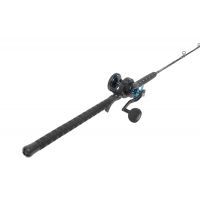 conventional rod and reel combo