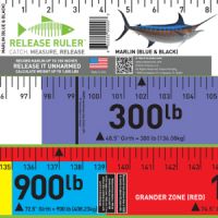 Striped Bass Ruler – Release Ruler