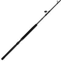 Penn Ally II Boat Conventional Rods