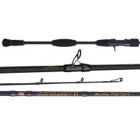  PENN 12' Battalion II Surf Conventional Casting Rod, 25-50lb  Line Rating, 2 Piece Graphite Composite Fishing Rod, Black/Gold : Sports &  Outdoors