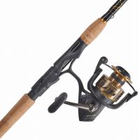 Penn 1422322 Passion Spinning Combo, 2500, 5.2: 1 Gear Ratio, 7' 1pc Rod,  4-10 lb Line Rate, Light Power, Ambidextrous : : Sports, Fitness &  Outdoors