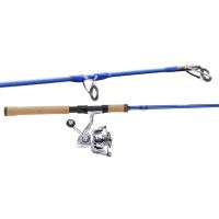 Daiwa 4014901 8 ft. BG Pre-Mounted Saltwater Spinning Combo Med-Inshore