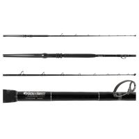 Berrypro Surf Spinning Rod Graphite Surf Fishing Rod (9'/10'/10'6''/11'/12'/13'3'')  (11'-2pc), Spinning Rods -  Canada