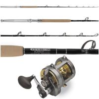 Penn Int. 50VISWS/TackleDirect Platinum Hook Standup Combo