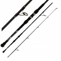 Daiwa Beefstick Surf Rods