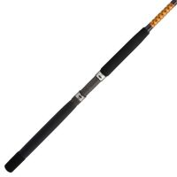 Buy Ugly Stik Catfish Special Spinning Fishing Rod Online at Low Prices in  India 