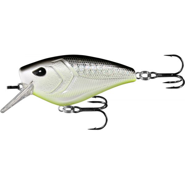 13 Fishing Warthog Squarebill Crankbait - 2-1/3in - Neon Disco Shad