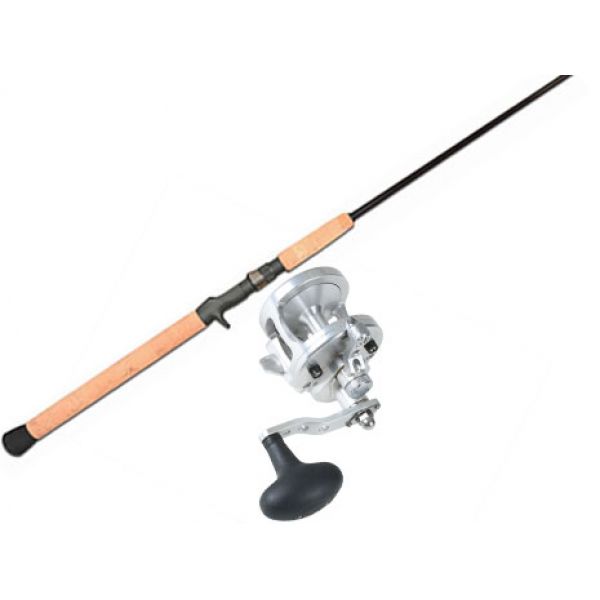 Avet MXJ5.8 Silver Reel / Lamiglas TFX7030CT Tri-Flex Rod Combo