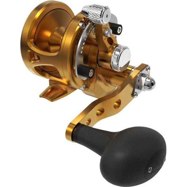 Avet SXJ G2 5.3 MC Single Speed Reel Gold