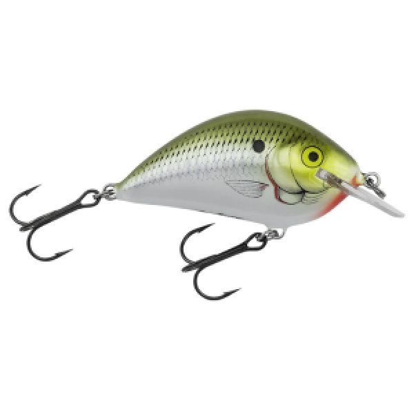 Bagley Pro Sunny B 07 Squarebill - Olive Shad