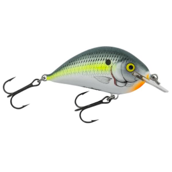 Bagley Pro Sunny B 07 Squarebill - Sexy Shad