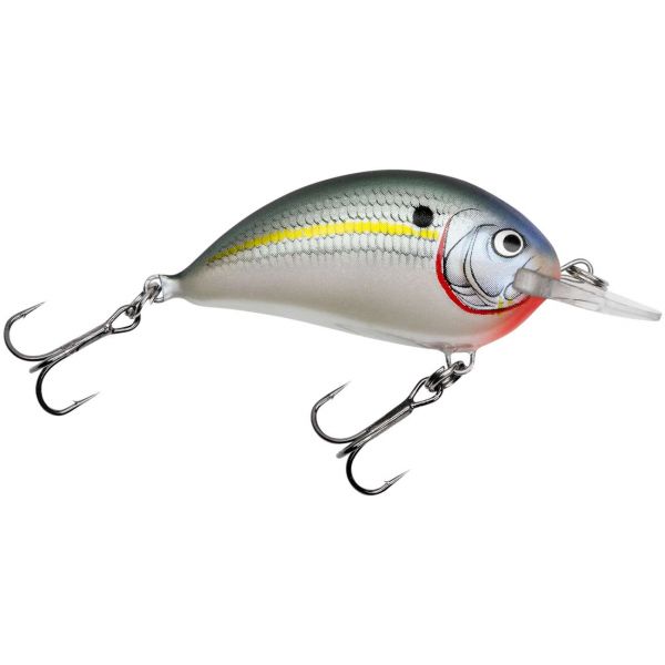 Bagley SB05-SD Sunny B 05 - Shad