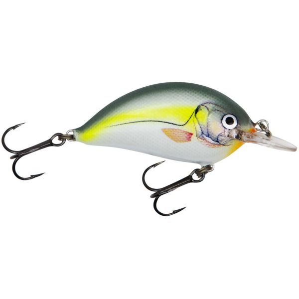 Bagley SB05-SS Sunny B 05 - Sexy Shad