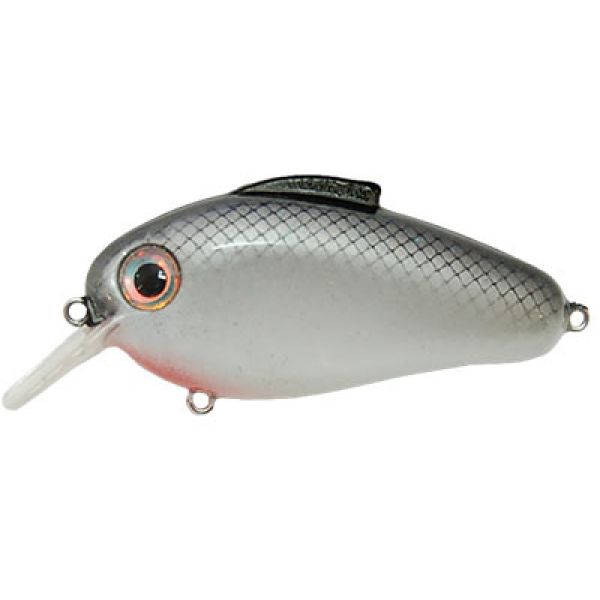 Bill Lewis Echo 1.75 Squarebill Crankbait - Silverado