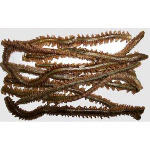 BioEdge Greedy Bait Fat Worms