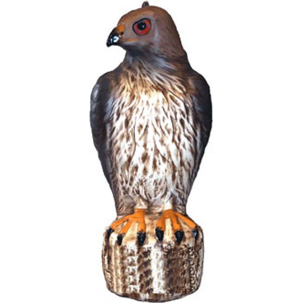 Bird-B-Gone RTH1 Hawk Decoy