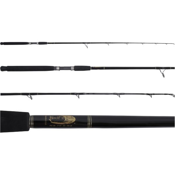 Blackfin Fin #1 Fin Series Spinning Rod