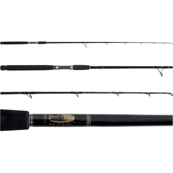 Blackfin Fin #10 Fin Series Spinning Rod