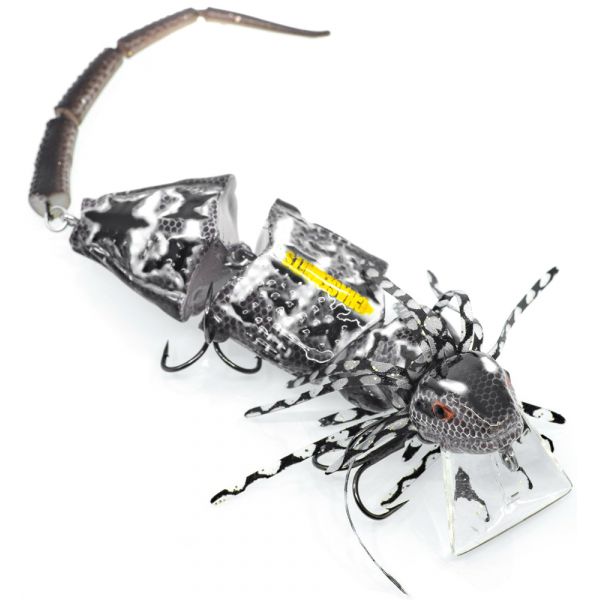 Chasebaits Frillseeker - Dragon