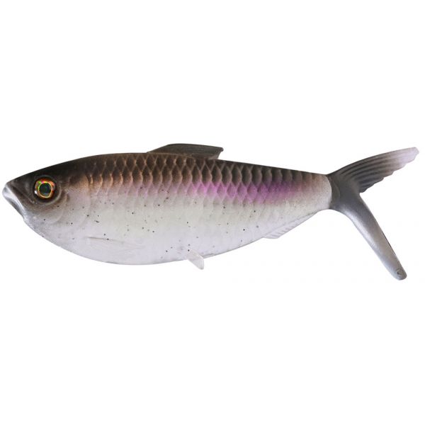 Coalition Bait Co. Dine Swimbait - American Shad