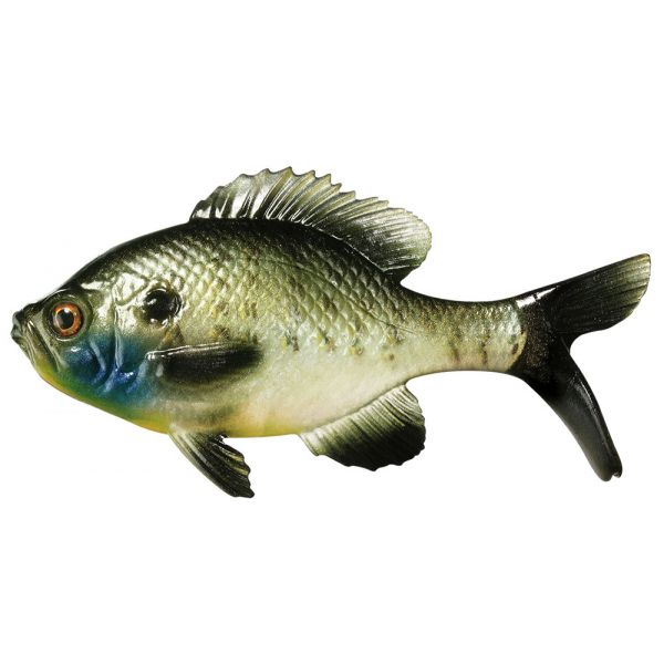 Coalition Bait Co. Gill Swimbait - Natural Sunfish