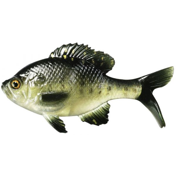 Coalition Bait Co. Gill Swimbait - Rusty Bream