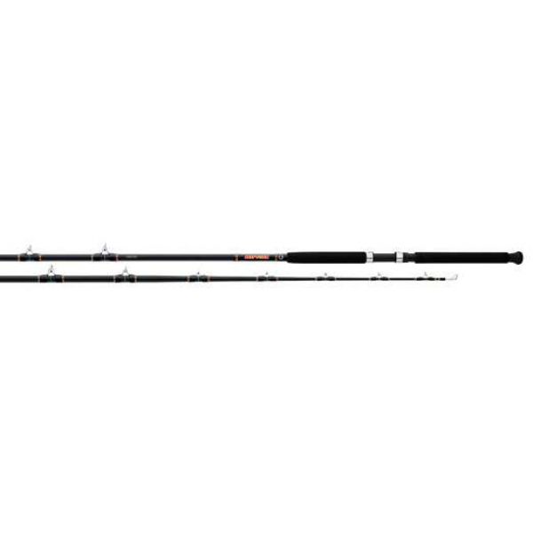 Daiwa Beefstick BT Trolling/Bottom Boat Rods