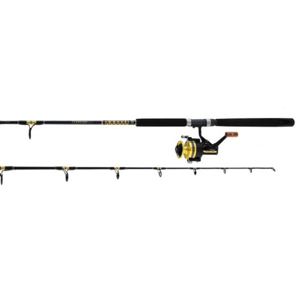 Daiwa BG System Saltwater Spinning Combos