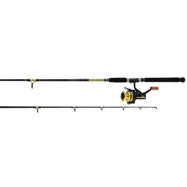 Daiwa BG30/BG661MLRS BG System Saltwater Spinning Combo