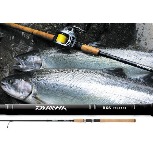 Daiwa DXS761MXS DXS Salmon & Steelhead Spinning Rod