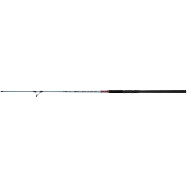 Daiwa TDSF1002MFS Team Daiwa Surf Spinning Rod