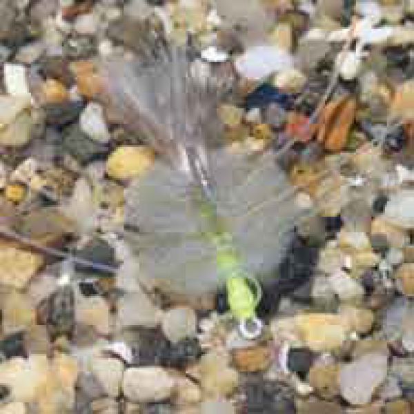 Enrico Puglisi EP Crab Grey Saltwater Fly