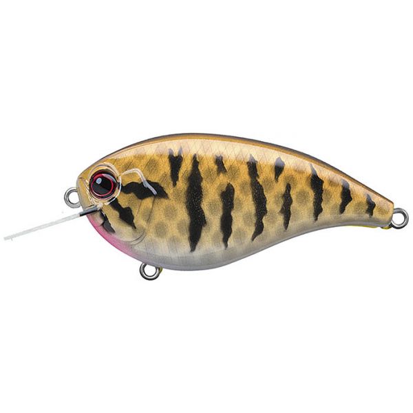 Evergreen Flat Force FF-4 Crankbait - Smallmouth Bass