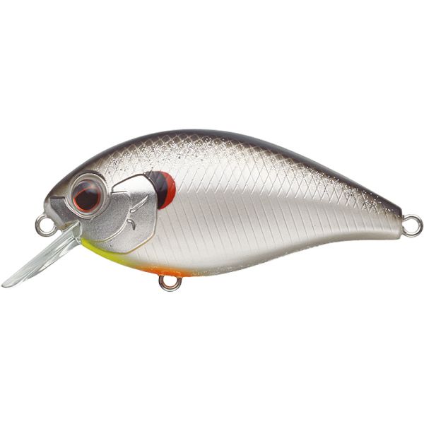 Evergreen SH-3 Squarebill Crankbait - Big Bite Shad