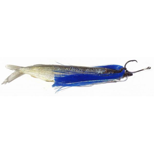 Fish DownSea 5in Party Hats Lures Blue