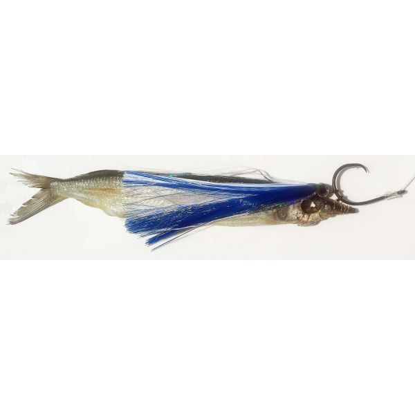 Fish DownSea 6in Party Skirt Lures Blue and White