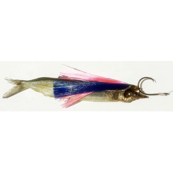 Fish DownSea 6in Party Skirt Lures Pink and Blue