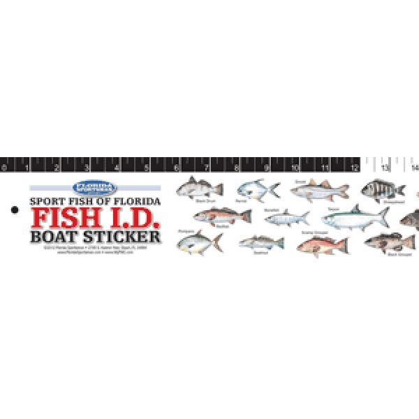 Florida Sportsman Fish ID Boat Sticker - Sportfish of the Upper Atlantic