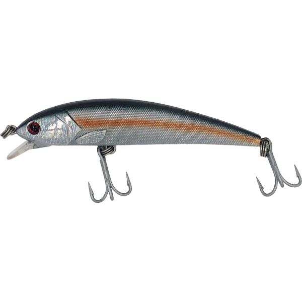 Guides Secret Shore Catch Mucho Minnow - American Shad