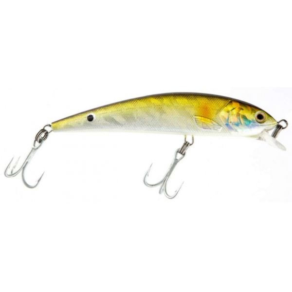 Guides Secret Shore Catch Mucho Minnow Lures 3DBUNK 3D Bunker