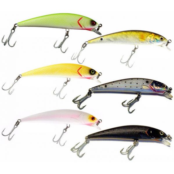 Guides Secret Shore Catch Mucho Minnow Lures