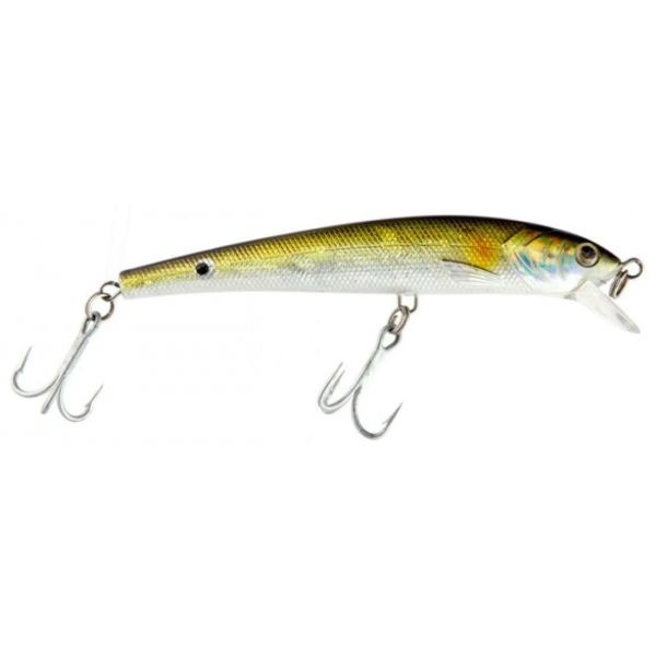 Guides Secret Shore Catch Skinny Minny Lures 3DBUNK 3D Bunker