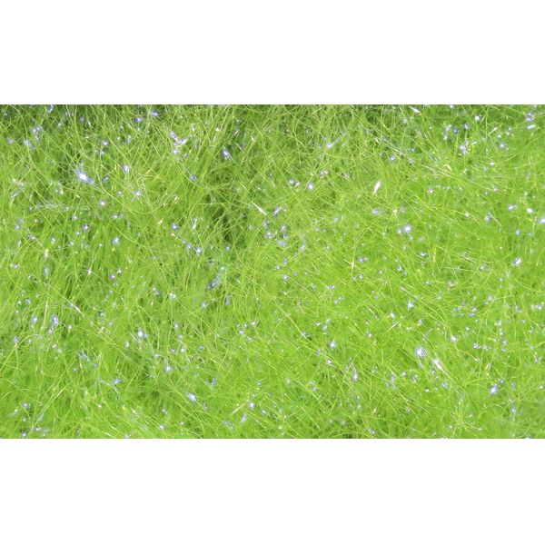 Hareline Dubbin Ice Dub - UV Light Olive