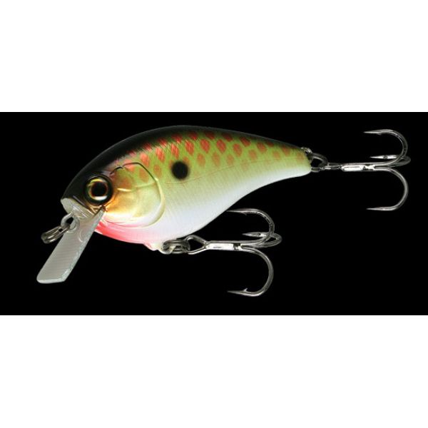 Jackall Aska Crankbait