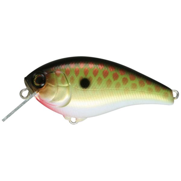 Jackall JASK60SR Aska Crankbait - BRGS Bronze Green Shad